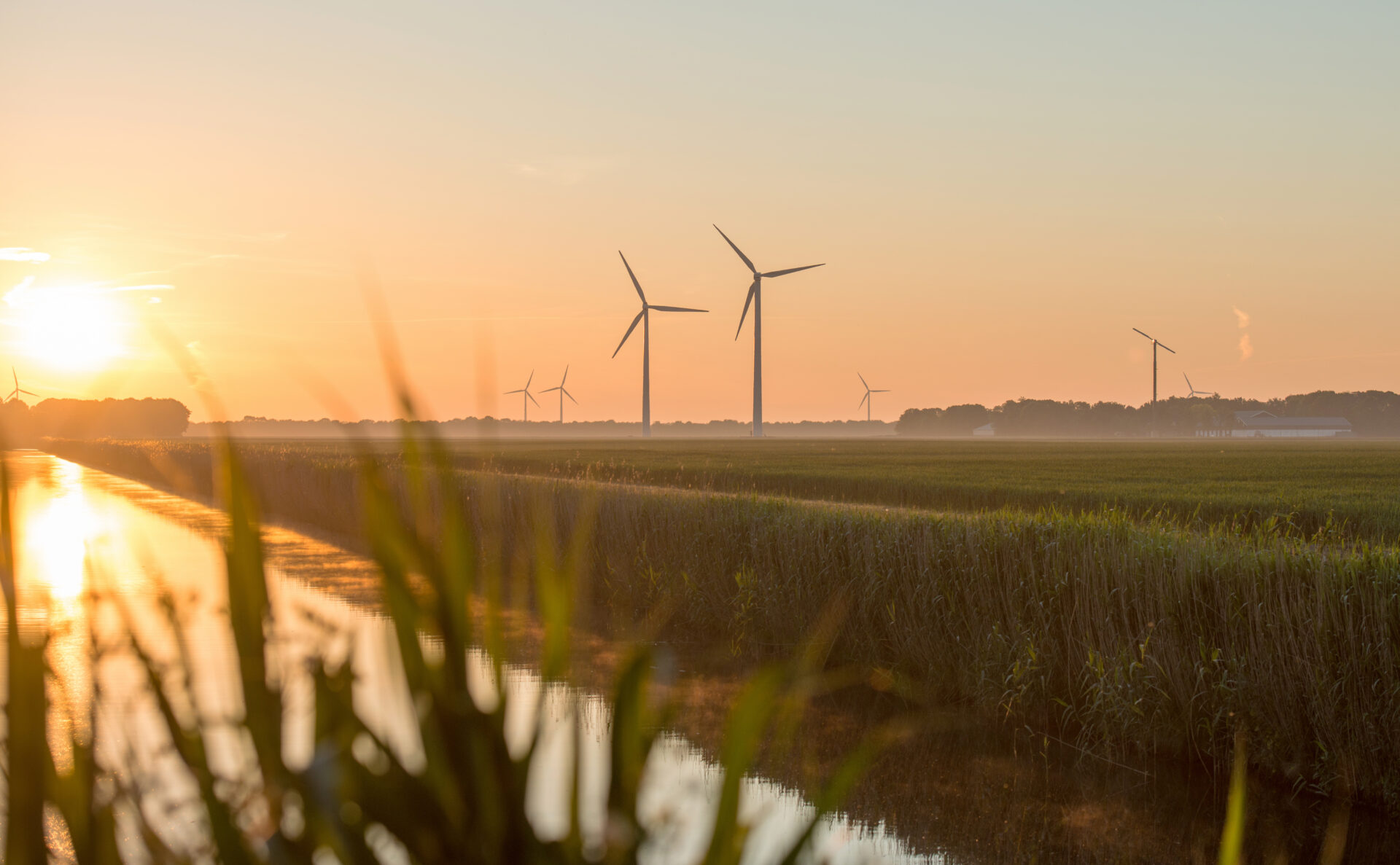 Wind turbines at sunrise over a meadow