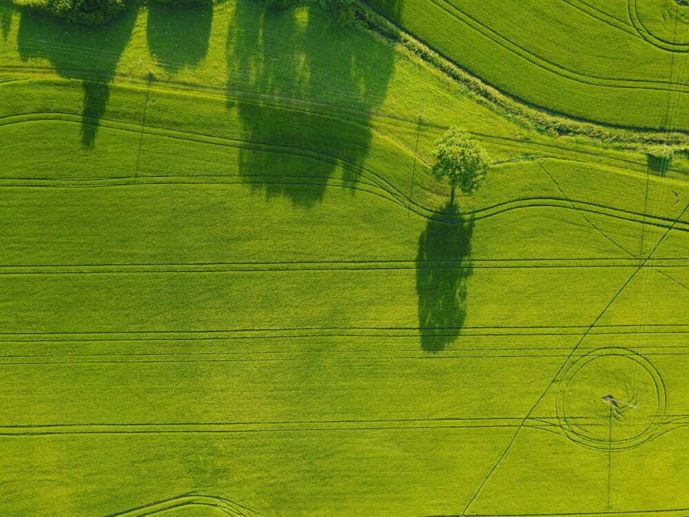 Green fields from an aerial perspective
