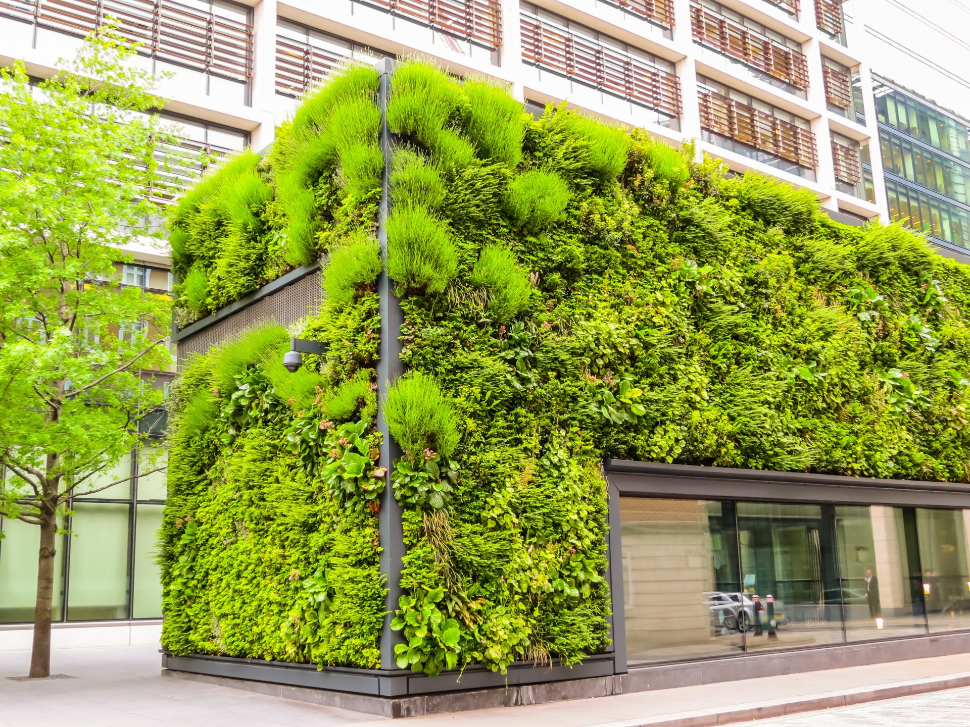 Eco city. Ecological architecture, live plants on a building facade