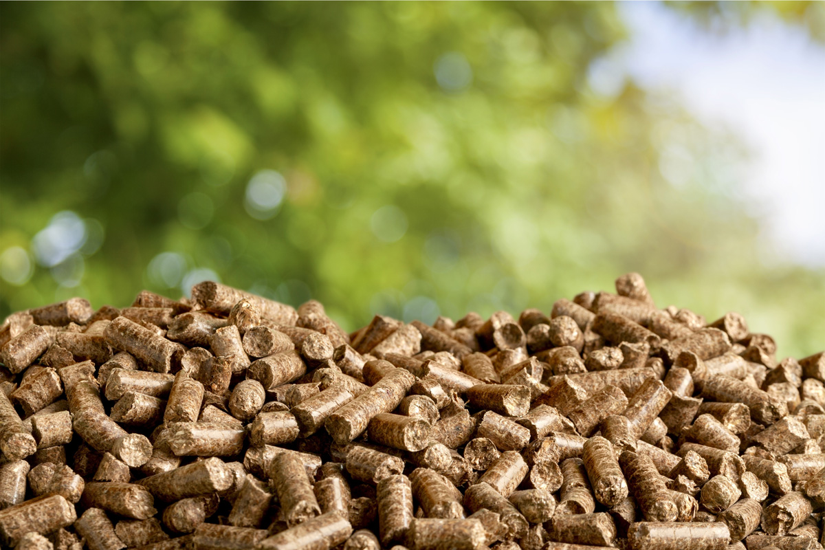 How Urgent is the Government’s New Biomass Strategy?